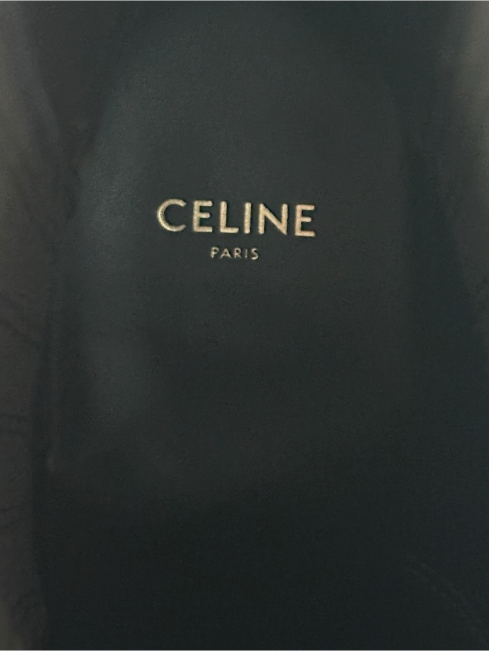 Celine Homme Leon Western Boots - Picture 7 of 16